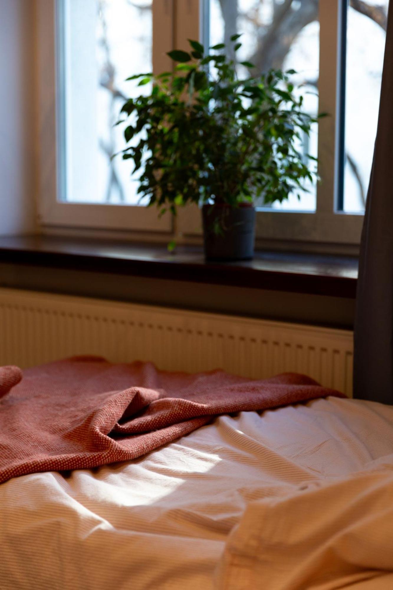 Evergreen - Stylish & Spacious Old Town Apartment With Ac, 1,5 Bath, Family-Friendly ブラチスラヴァ エクステリア 写真